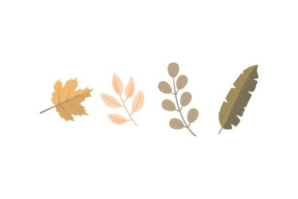 Download Leaf Foliage - Leaf foliage Collection