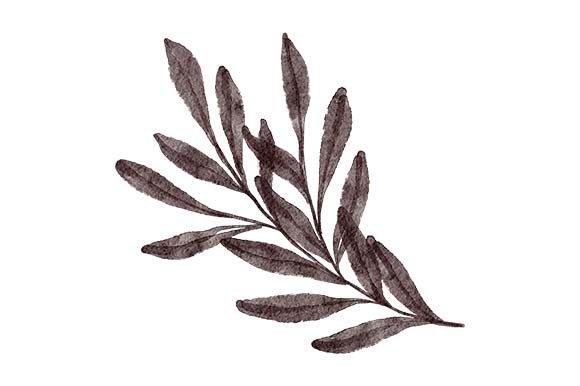 Download Hand Painted Greenery Leaf Foliage - Premium Resources