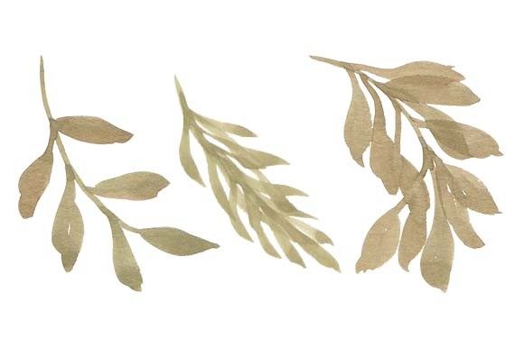 Download Watercolor Leaf Foliage Paint Set - Premium Bundle