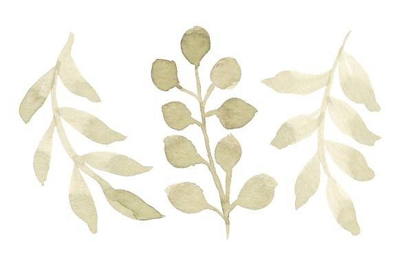 Download Watercolor Green Leaf Foliage Set Paint - Premium Bundle