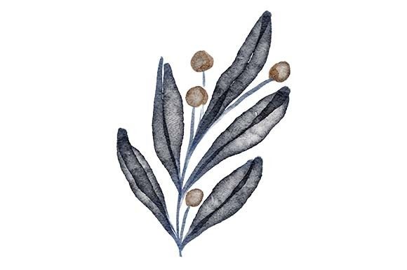 Download Watercolor Leaf Foliage Floral Element - Premium Resources