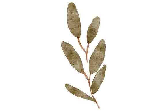 Download Watercolor Green Leaf Foliage Element - Leaf foliage Collection
